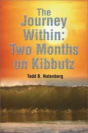 The Journey Within by Todd B. Natenberg