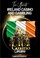 Cover of: The Ultimate Ireland Casino and Gambling Handbook