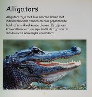 Alligator by Jinny Johnson