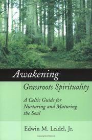 Awakening Grassroots Spirituality by Jr., Edwin M. Leidel