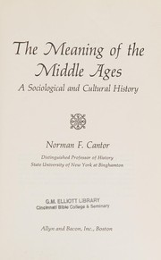 Cover of: The meaning of the Middle Ages: a sociological and cultural history