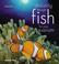 Cover of: Choosing the Right Fish for Your Aquarium