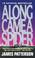 Cover of: Along Came a Spider (Alex Cross Novels)