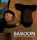 Cover of: Baboon