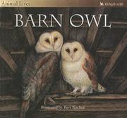 Cover of: Barn Owl by Sally Tagholm