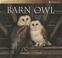 Cover of: Barn Owl