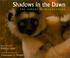 Cover of: Shadows in the Dawn (Gulliver Green Book)