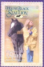 Cover of: The Horse Called Raven (Young Black Stallion) by Steven Farley