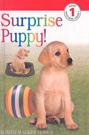 Cover of: Surprise Puppy by Judith Walker-Hodge