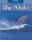 Cover of: Blue Whales (Untamed World)