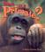 Cover of: What Is a Primate (Science of Living Things)