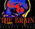 Cover of: The Brain