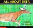 Cover of: All About Deer (All About...(Goodtimes Entertainment))