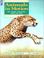 Cover of: Animals in Motion