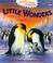 Cover of: Little Wonders