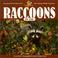 Cover of: Raccoons for Kids
