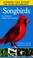 Cover of: Songbirds