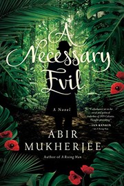 Cover of: A necessary evil: a novel