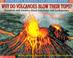 Cover of: Why Do Volcanoes Blow Their Tops