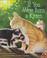 Cover of: If You Were Born a Kitten