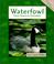 Cover of: Waterfowls