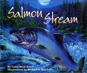 Cover of: Salmon Stream