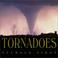 Cover of: Tornadoes