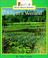 Cover of: Life in a Wetland