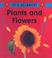 Cover of: Plants and Flowers (It's Science!)