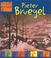 Cover of: Pieter Bruegel