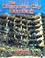 Cover of: Oklahoma City Bombing (Great Disasters: Reforms and Ramifications)