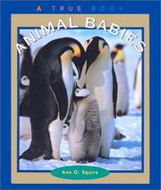 Cover of: Animal Babies