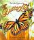 Cover of: The Life Cycle of a Butterfly (Life Cycle of A...)