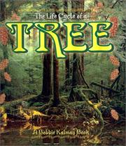 Cover of: The Life Cycle of a Tree (Life Cycle of A...) by Bobbie Kalman, Kathryn Smithyman, Bobbie Kalman