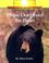 Cover of: Please Don't Feed the Bears