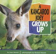 Cover of: Kangaroo Joey Grows Up by Joan Hewett