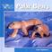 Cover of: Polar Bears (Our Wild World)