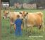 Cover of: My Cows