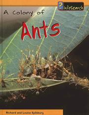 Colony of Ants (Animal Groups) by Louise Spilsbury, Richard Spilsbury