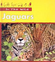 Cover of: Jaguars (In the Wild)