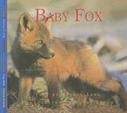 Cover of: Baby Fox (Nature Babies) by Aubrey Lang, Aubrey Lang