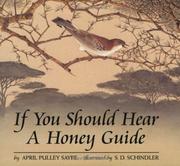 If You Should Hear a Honey Guide by April Pulley Sayre