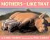 Cover of: Mothers are Like That
