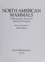 Cover of: North American mammals: a photographic album for artists and designers