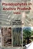 Cover of: Pteridophytes in Andhra Pradesh, India