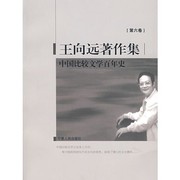 Cover of: Zhongguo bi jiao wen xue bai nian shi by Xiangyuan Wang
