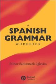 Cover of: A Spanish Grammar Workbook (Blackwell Reference Grammars)