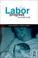 Cover of: The Labor Progress Handbook