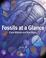 Cover of: Fossils at a Glance (At a Glance)