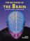 Cover of: Big Book of the Brain